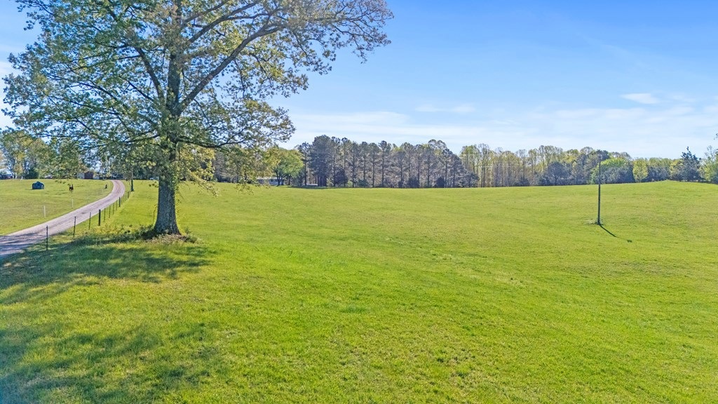 5130-crumptown-rd-farmville-va-7