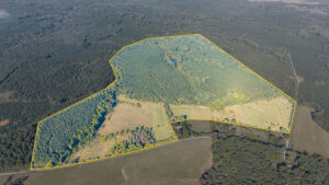 lewis ford rd_002