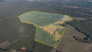lewis ford rd_006